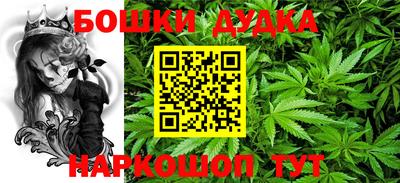 индика Аргун