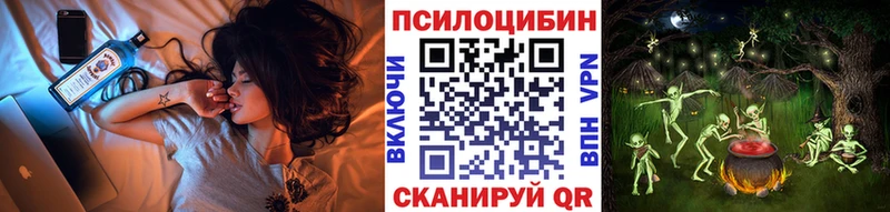 Псилоцибиновые грибы Psilocybe  где можно купить   Таганрог 