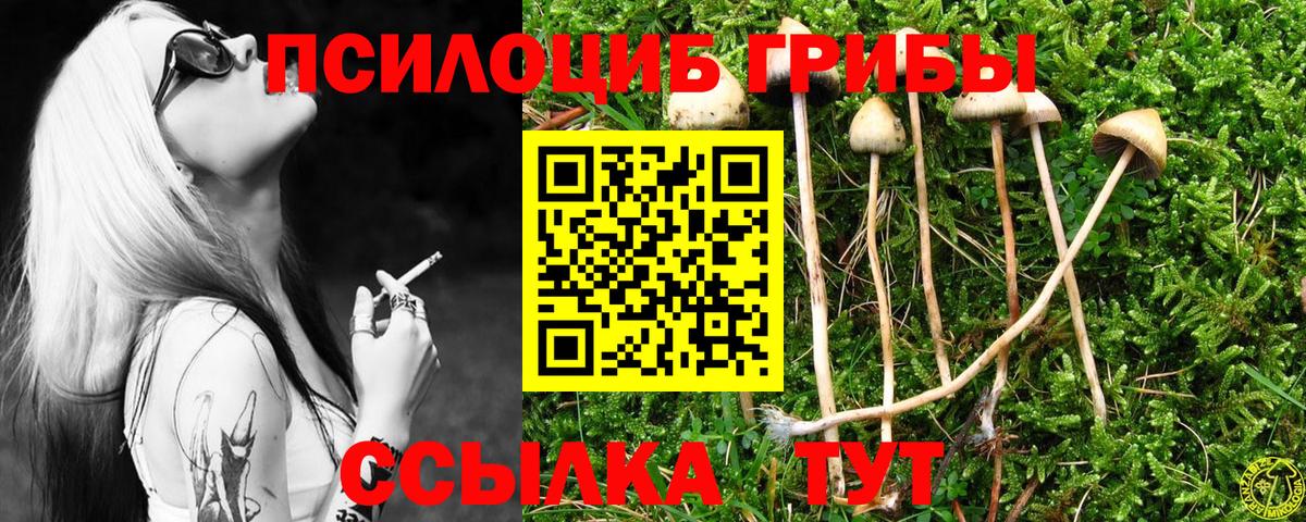 Псилоцибиновые грибы мицелий  Псилоцибиновые грибы мицелий  Таганрог  Вход с VPN 