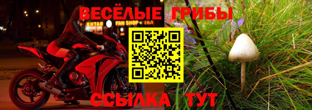 Псилоцибиновые грибы MAGIC MUSHROOMS Таганрог